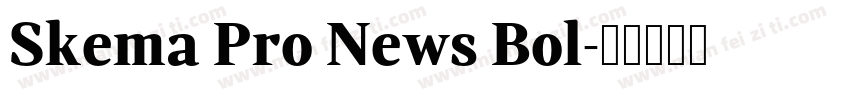 Skema Pro News Bol字体转换